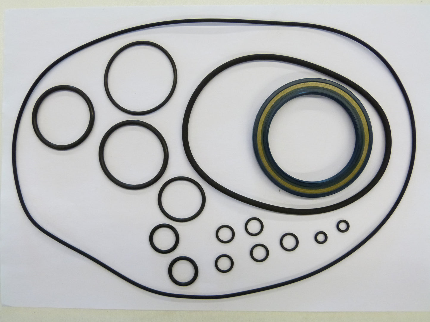 Image 1 of MH-AFDICHTSET A6VM 250 HD2D/61W-PZB020B