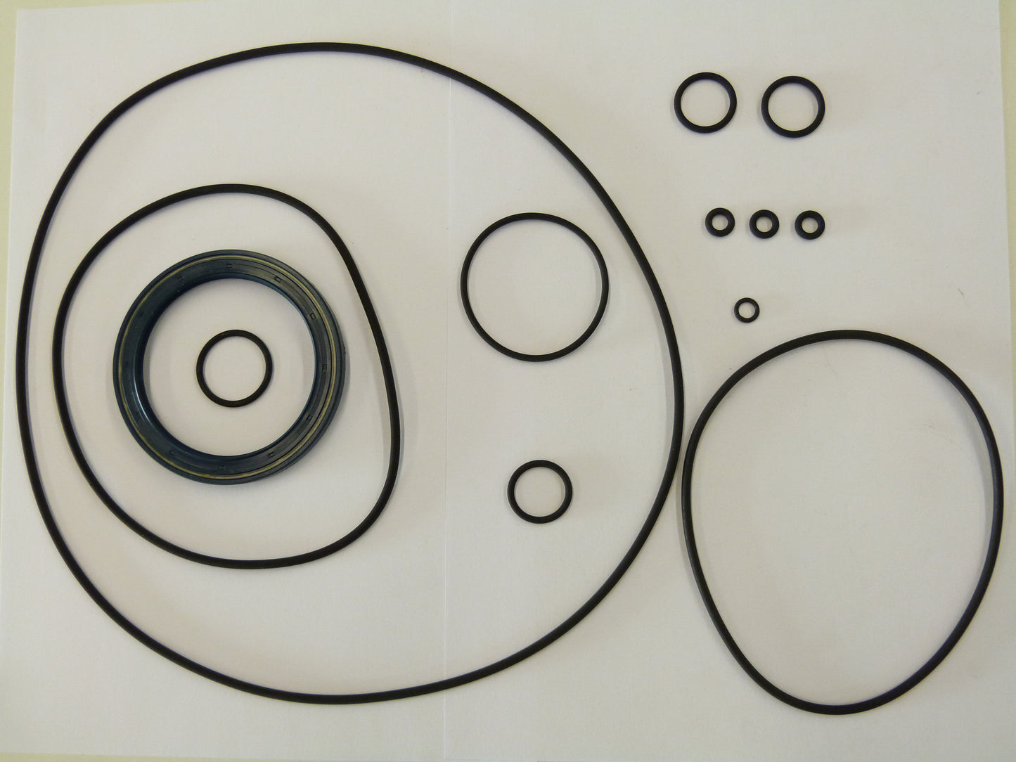 Image 1 of AFDICHTSET A11VLO260 LRH1/11R-NPD12NOO