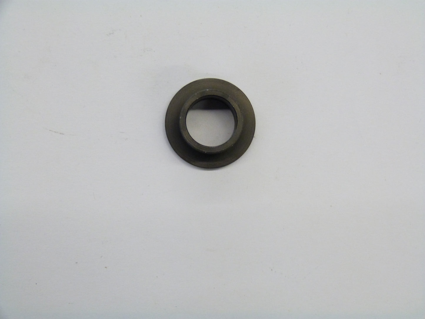 Image 1 of SPRING BUSH