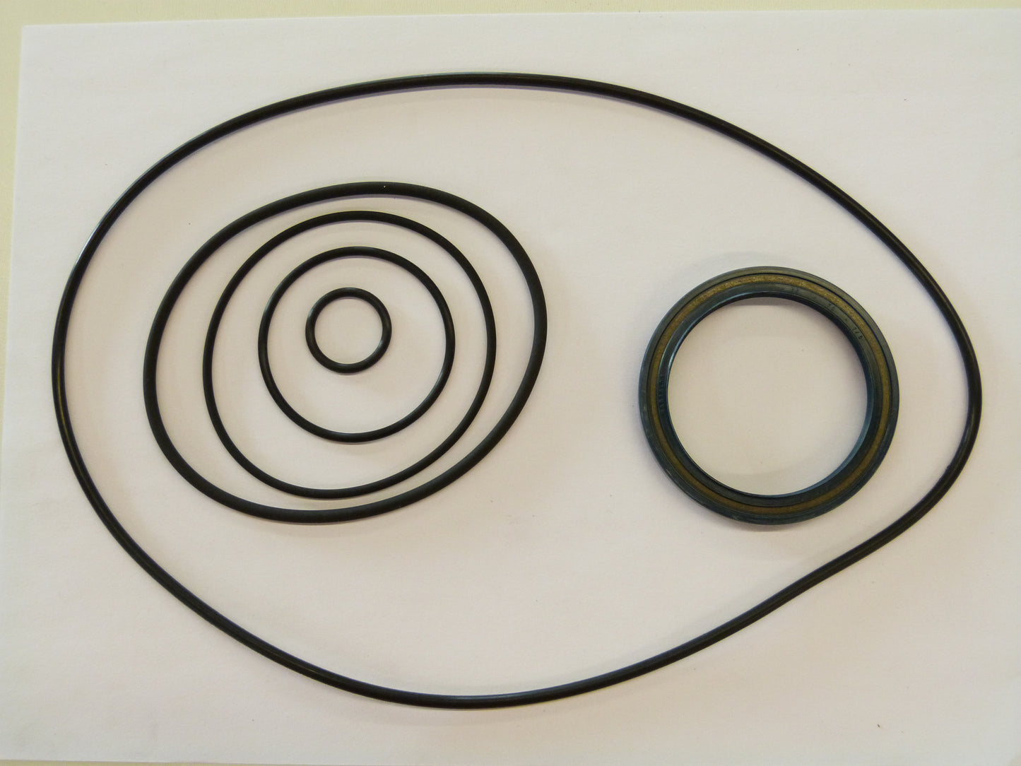 Image 1 of SEALSET A11VO 130 DR/10R-NPD12N00