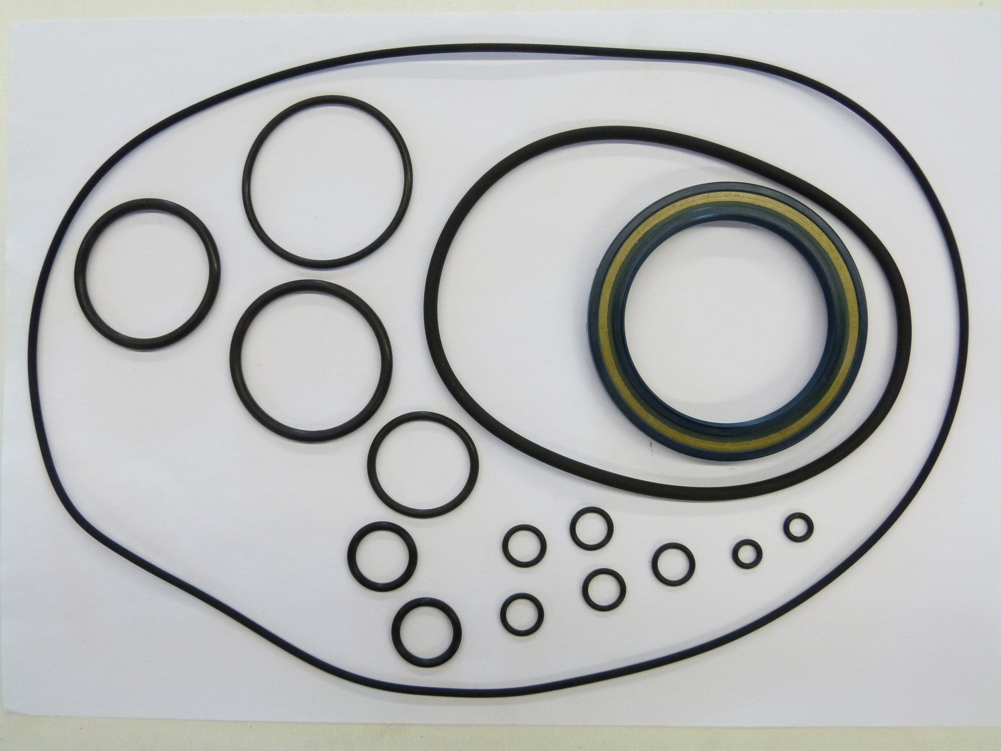 Image 1 of MH-AFDICHTSET A6VM 250 HD2D/61W-PZB020B